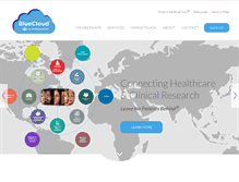Tablet Screenshot of healthcarepoint.com